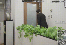 女秘书和上司偷情被我发现了，没想到反过来勾引我这个新入职的-解解图解